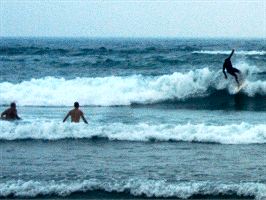 Praia de Amado | Surf