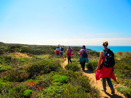 Guided Walking Tours throug the natur reserve in the Algarve